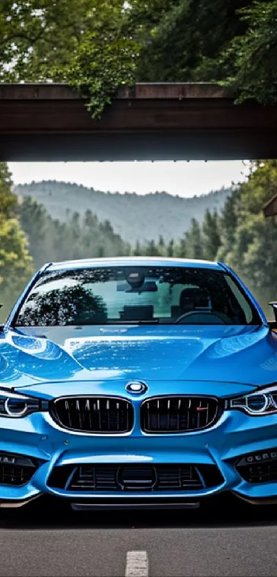 Blue car framed by a wooden tunnel amidst lush greenery.