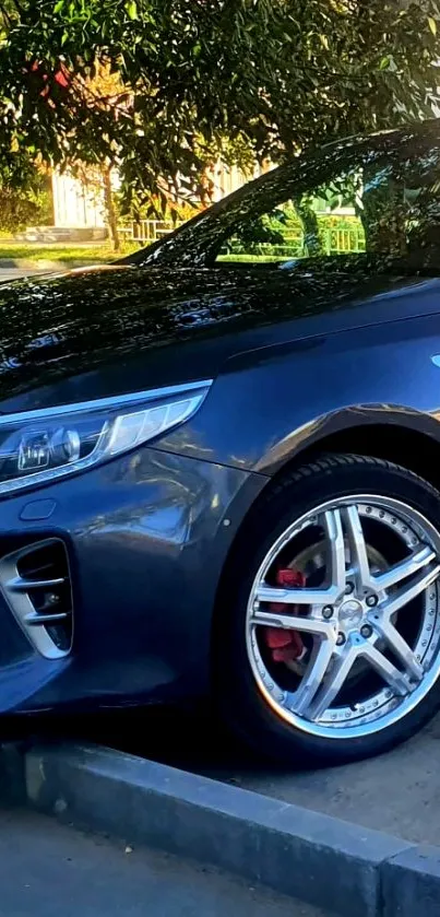 Sleek blue car parked under trees.