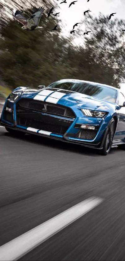 Blue sports car driving on scenic road.