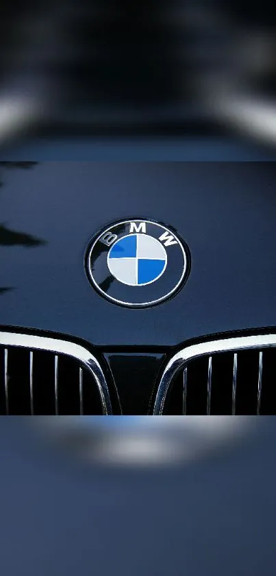 BMW emblem on sleek black car hood wallpaper.