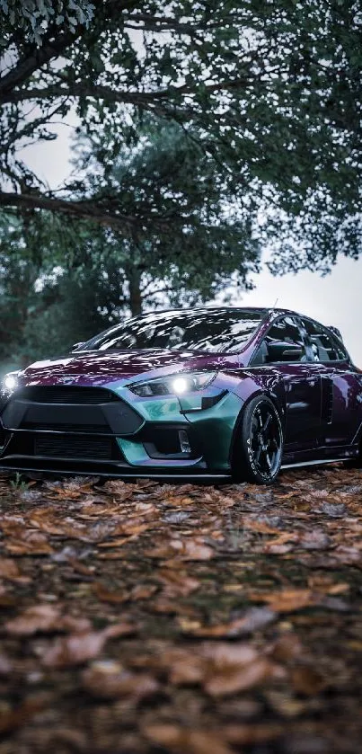 Car parked in an autumn forest surrounded by leaves.