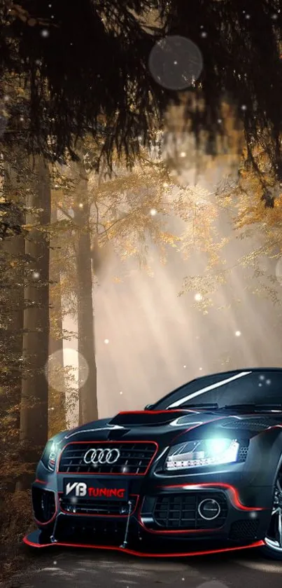 Black car parked in autumn forest with sun rays filtering through leaves.