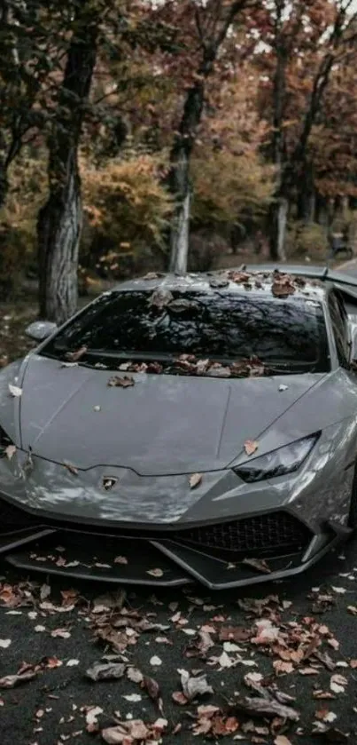 Sleek grey sports car surrounded by autumn leaves on a forest road.