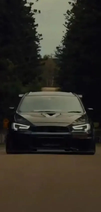 Black car driving on forest road in evening light.