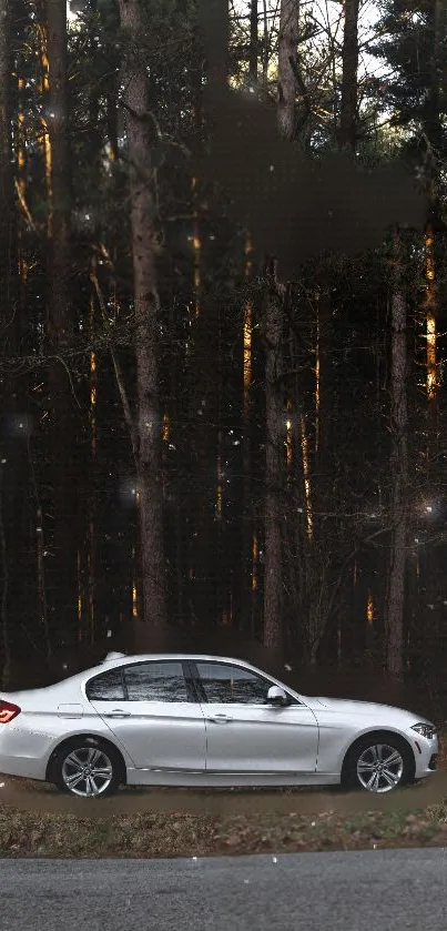 Silver car against twilight forest backdrop.