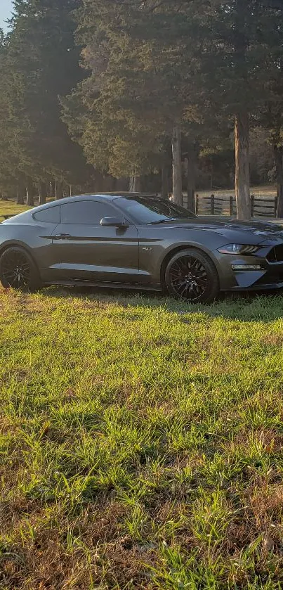 Sleek car parked in a green field with trees in the background.