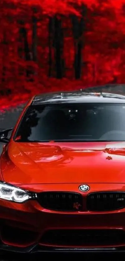 Sleek red car in a vibrant red forest background.