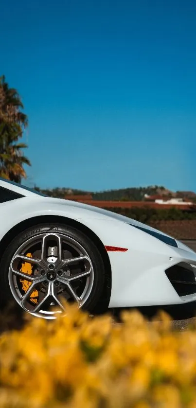 Sleek car on road with blue sky backdrop.