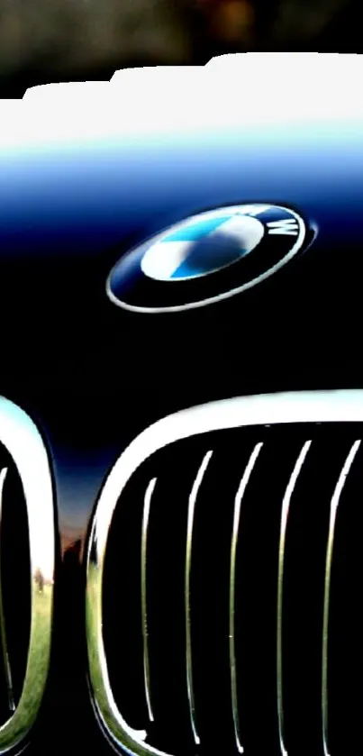 Sleek black car grille with a polished emblem.