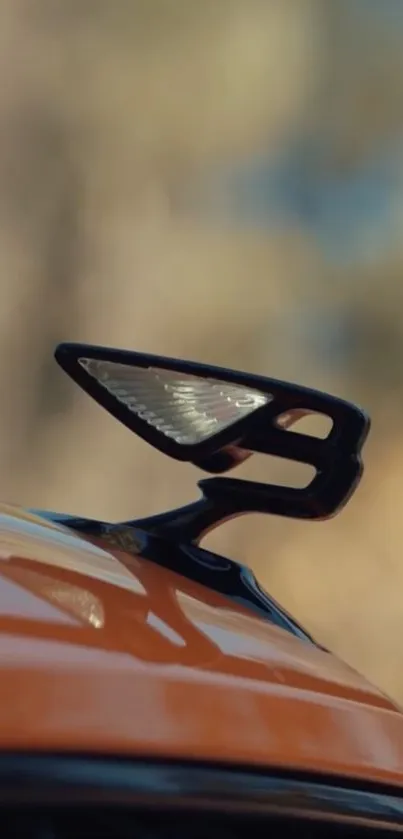 Sleek car mirror on orange vehicle