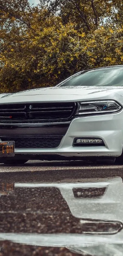Sleek white car with tree reflections on wet pavement.