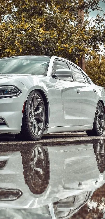 Sleek white car reflected in a puddle with cloudy sky background.