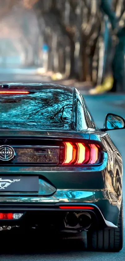 Rear view of sleek black car on a tranquil urban road.