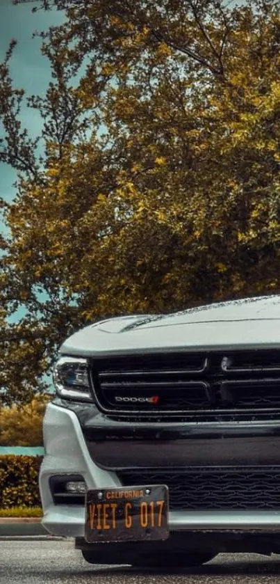 Sleek car parked beneath a moody, overcast sky with lush trees.