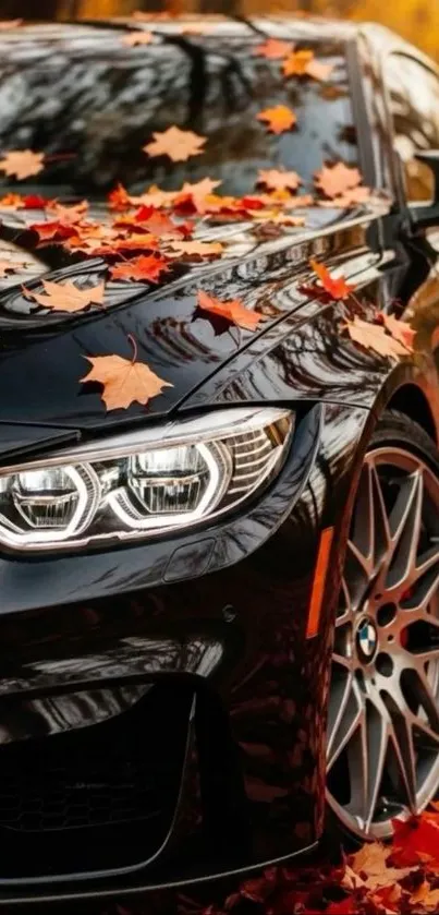 A black car covered with autumn leaves.