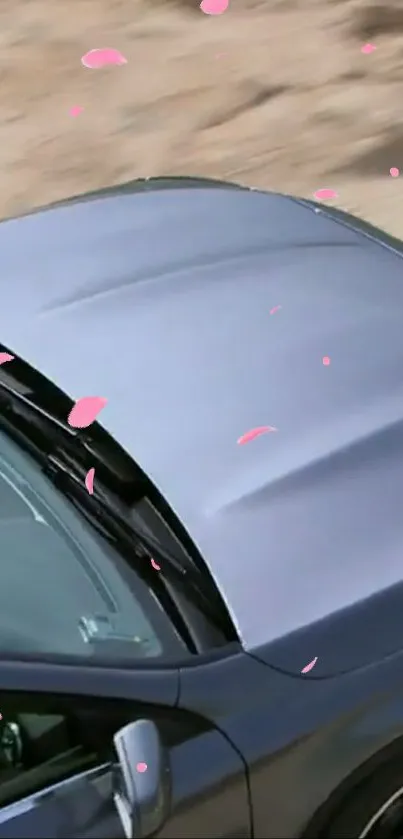 Elegant car with cherry blossom petals on a serene backdrop.