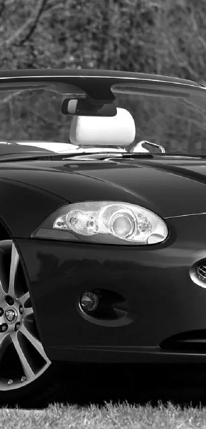 Elegant black convertible car in an outdoor setting.