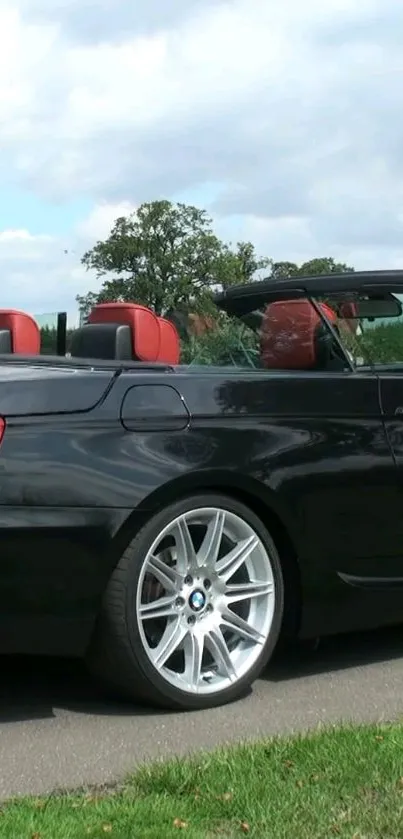 Convertible car with red interior parked on a lush green roadside.