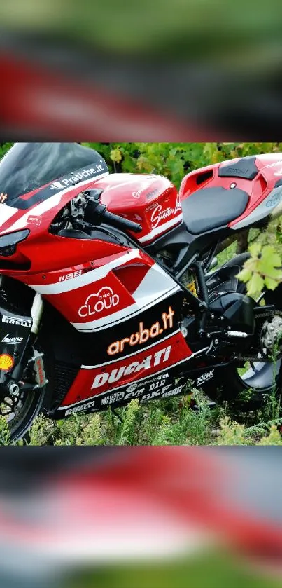 Red Ducati motorcycle parked on grass, high-speed bike wallpaper.