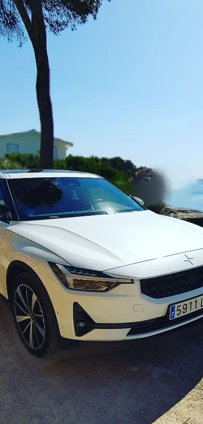 Sleek white electric car parked by a scenic seaside with clear blue sky.