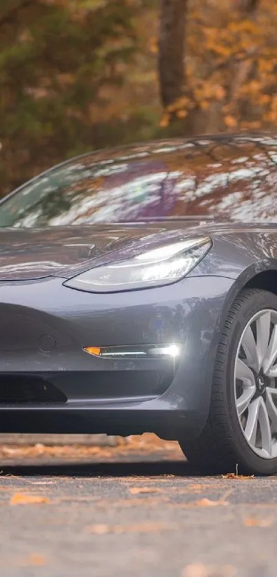 Sleek electric car amidst autumn leaves and trees.