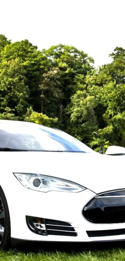 Sleek white electric car near lush green forest.