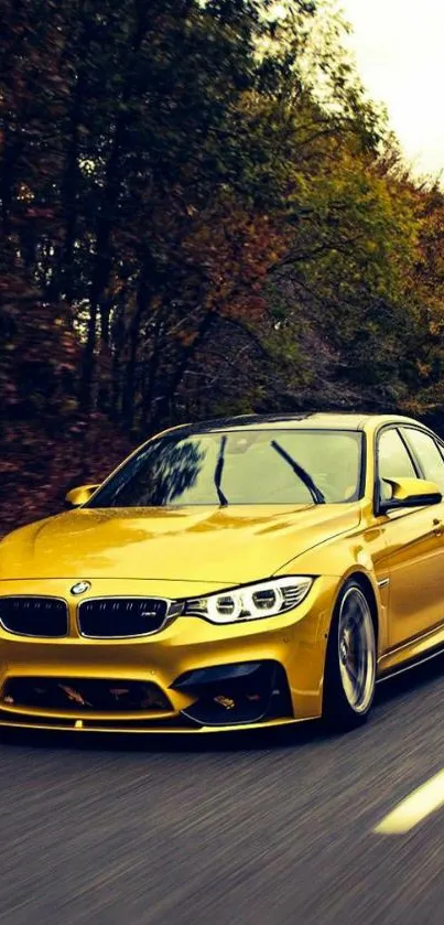 Gold BMW car driving through autumn forest.