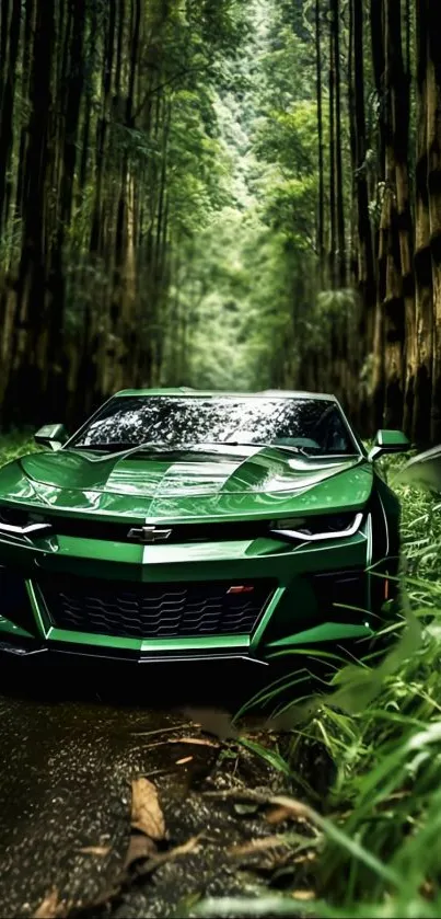 Green sports car in a lush bamboo forest setting.