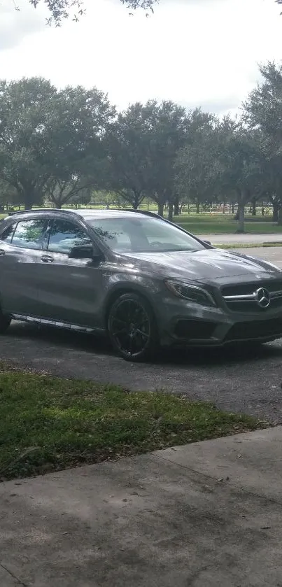 Sleek grey car in a park setting with trees and grass.