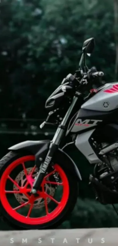 Sleek grey motorbike with vibrant red wheels on green background.