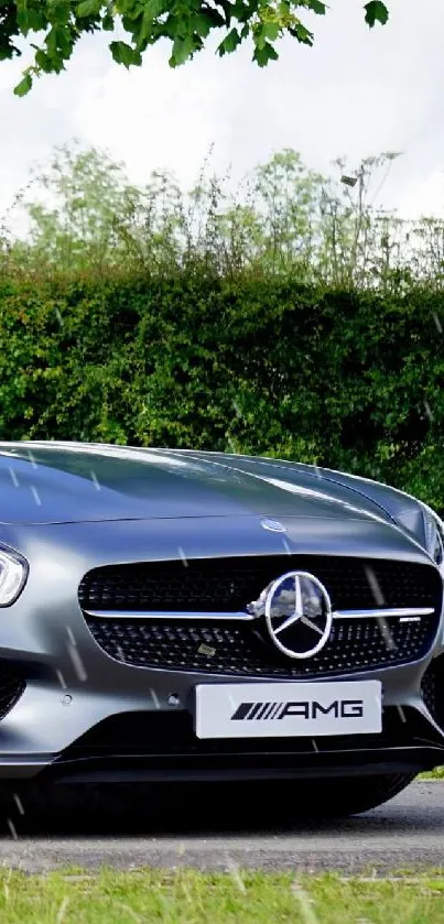 Sleek grey sports car parked on a road with greenery in the background.