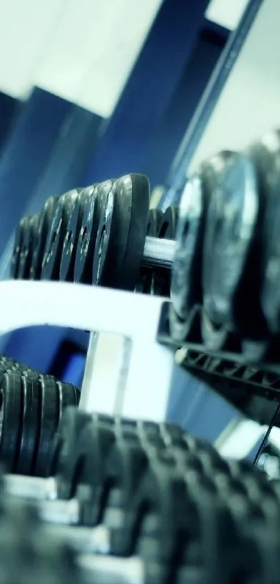 Close-up view of gym dumbbell rack in blue tones.