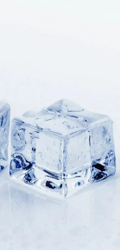 Mobile wallpaper with crystal-clear ice cubes on a white background.