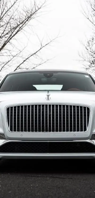 Front view of a sleek, luxurious car on the road in gray tones.