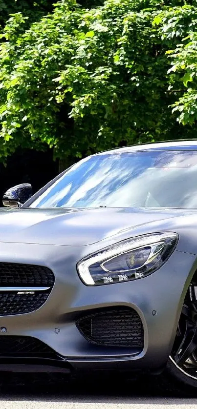 Gray luxury Mercedes car with green trees and sunlight.