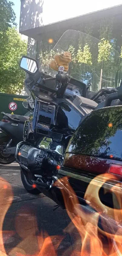 Parked motorcycle with trees reflecting sunlight.