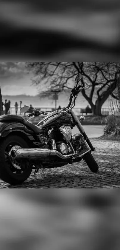 Black and white motorcycle by a tranquil lakeside scene.