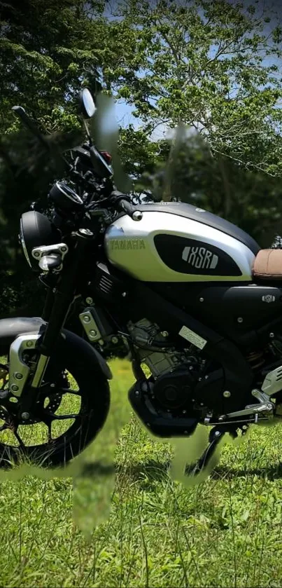 Motorcycle on grass against a vibrant green backdrop.