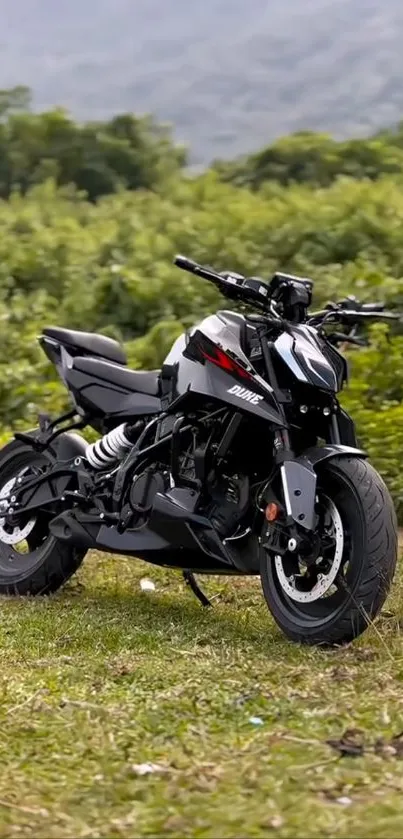 Sleek black motorcycle in a lush, green natural setting.