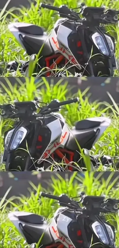 Modern motorcycle surrounded by green grass.