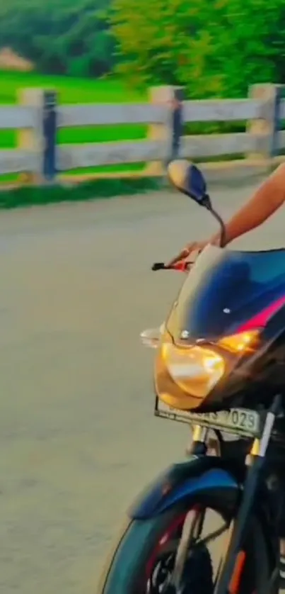 Motorcycle riding on a scenic countryside road with lush greenery.