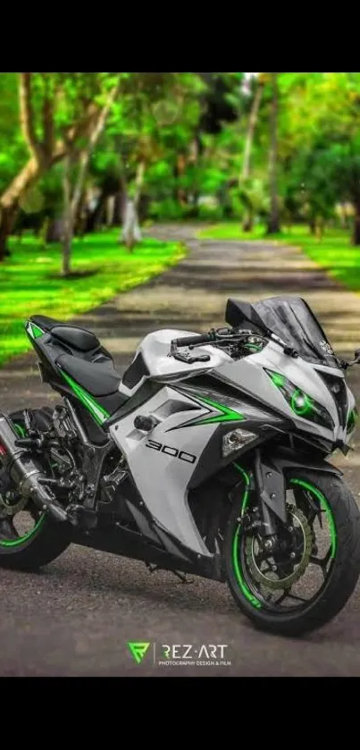 Sleek motorcycle on a tree-lined road.