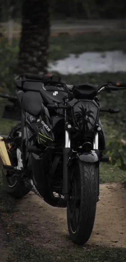 Black motorcycle parked outside near trees.