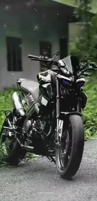 Motorcycle parked on a scenic road with greenery.