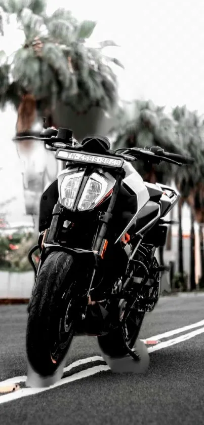 Motorcycle on road with palm trees background, sleek black design.