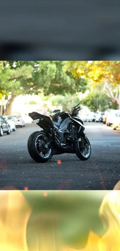 Motorcycle parked on a scenic tree-lined urban street.