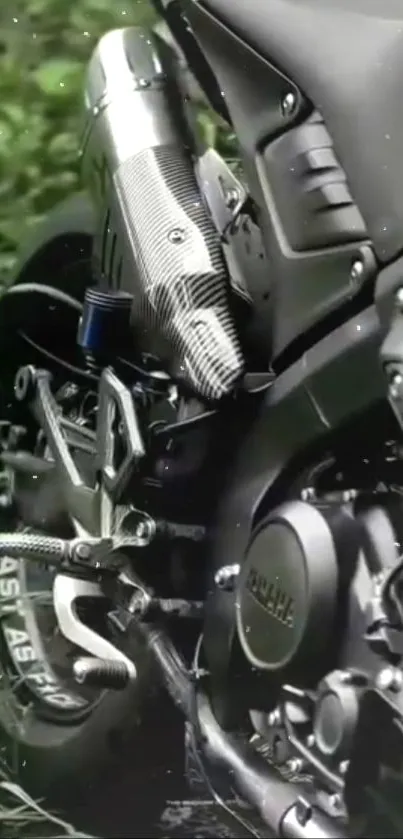 Close-up of a sleek motorcycle engine with green backdrop.