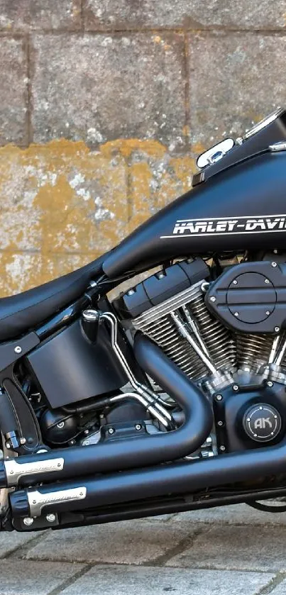 Sleek Harley Davidson motorcycle against a textured wall backdrop.