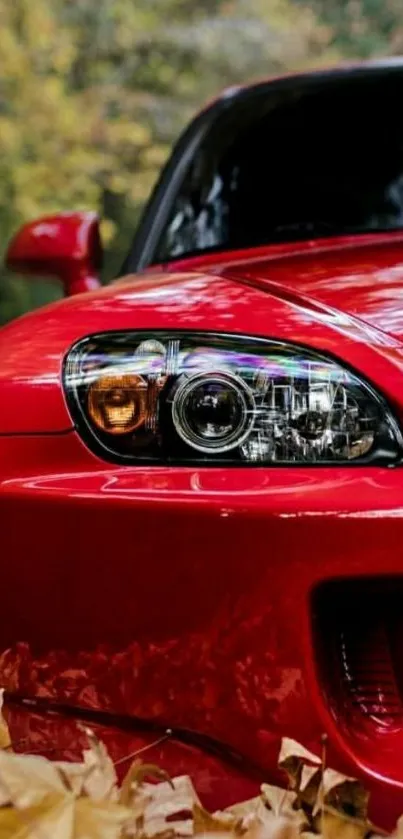 Sleek red sports car surrounded by autumn leaves.