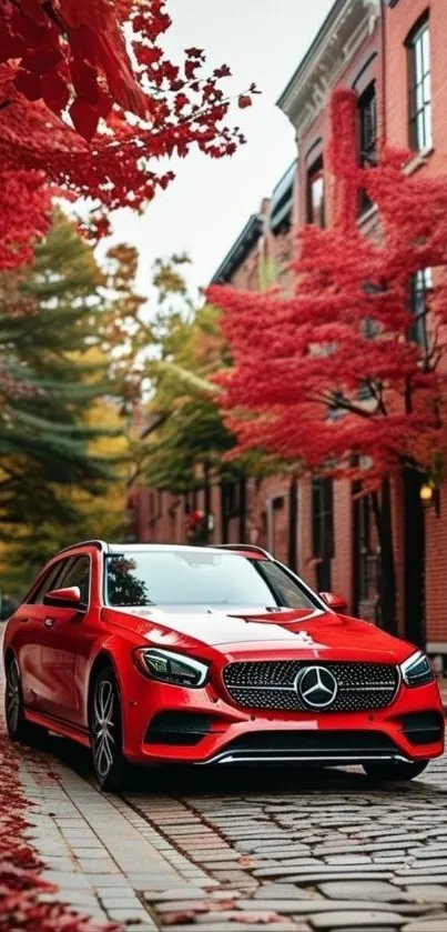 Sleek red car on an autumn street, framed by vibrant foliage.